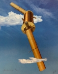 Flying tiger