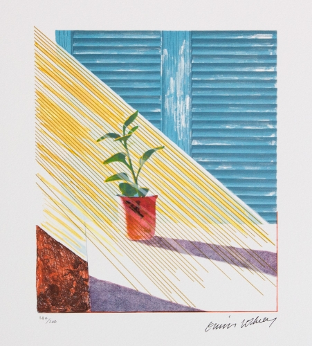 David Hockney - Soleil