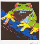 Pine Barrens Tree Frog