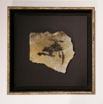 Banksy (attributed)  - Rat d'hélicoptère