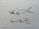 Hirst - SHARK