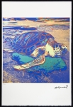 (After) Andy Warhol - Turtle