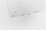 Panamarenko  - Kip - Litho