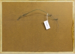 Yrjö  Edelmann - Title unknown