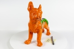 Hannes D'Haese - Orange French Bulldog