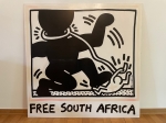 Free South Africa
