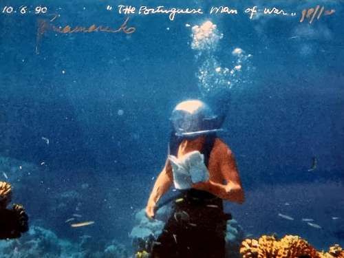 Panamarenko  - The Portuguese men of war