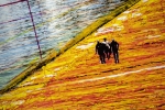 Christo Javacheff - The Floating Piers