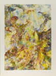 megof-zungen-landschaft