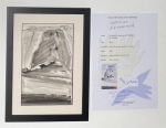 Antique watercolor from 1965: The Rock of Ibiza Es Vedra