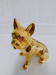 sitting dog