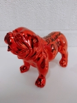 english bulldog