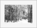 Winterlandschap 2