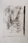 Abstractie