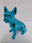 sitting dog