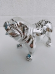 english bulldog