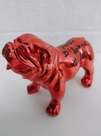 english bulldog