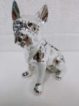 sitting dog